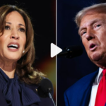 6 Hal yang Perlu Diperhatikan Saat Kamala Harris Berdebat dengan Donald Trump